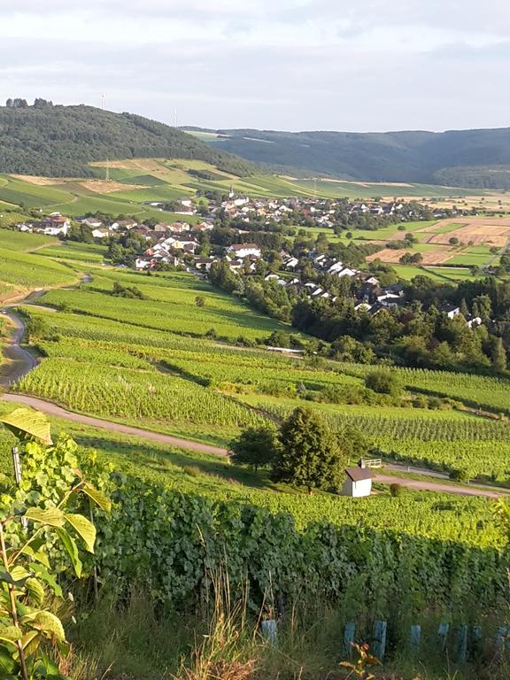 Ferienappartement Hennen Konz Zewnętrze zdjęcie